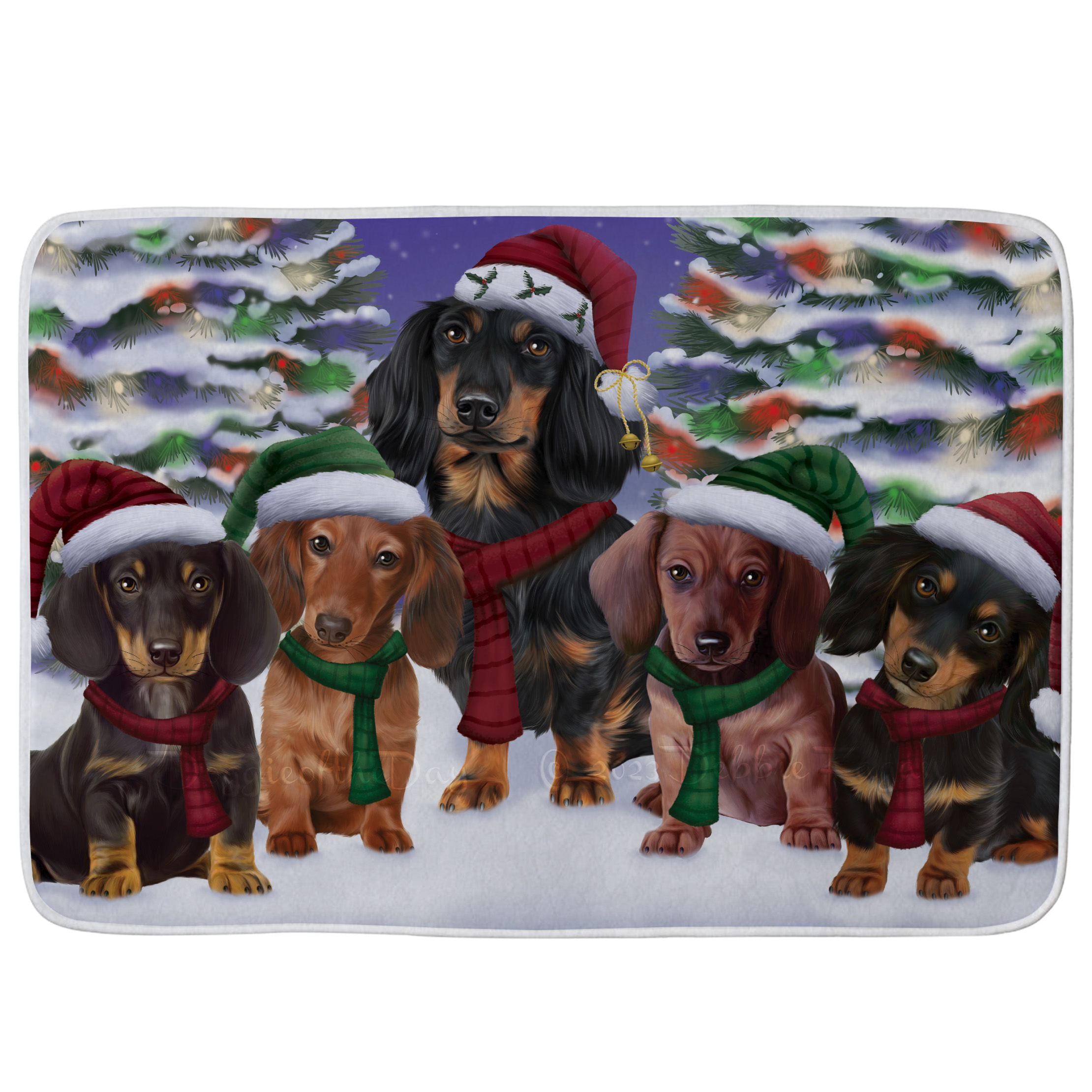 Dachshund Dog Bath Mat Anti-Slip Pet Personalized Bathroom Rug Mat Gift NWT - Picture 36 of 47