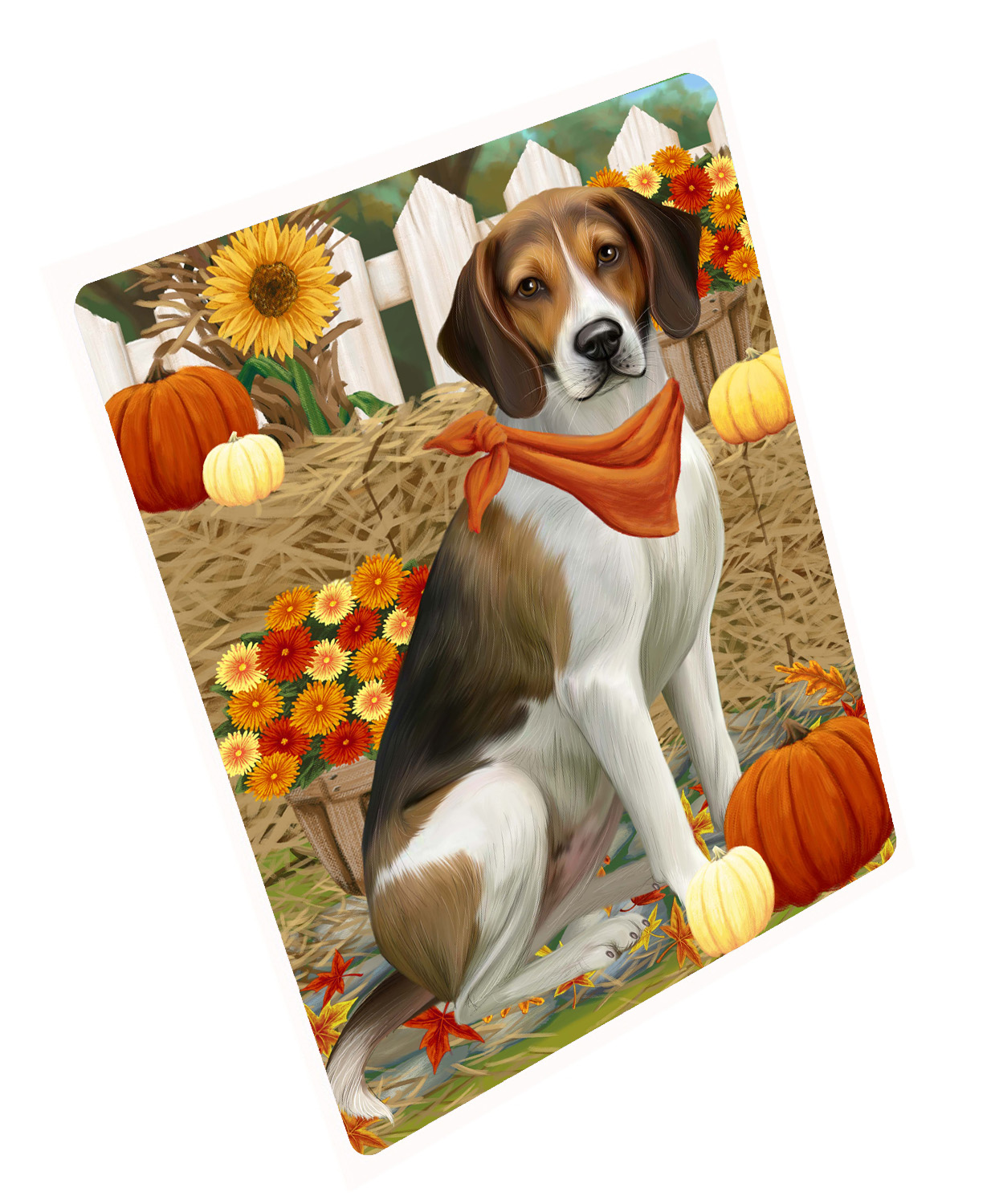 Herbst Herbst Gruß Hund Katze Haustier Foto Kühlschrank Magnet 8,7x11,5 Zoll - Bild 17 von 159
