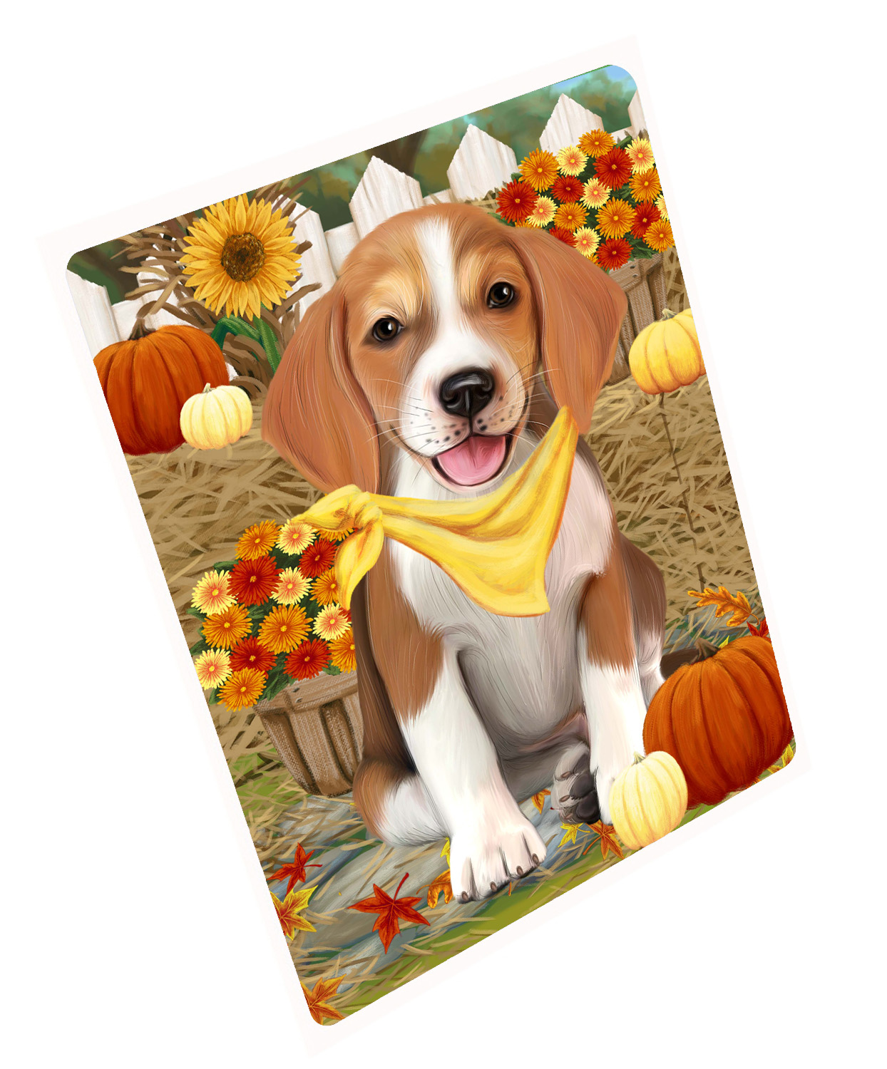 Herbst Herbst Gruß Hund Katze Haustier Foto Kühlschrank Magnet 8,7x11,5 Zoll - Bild 19 von 159