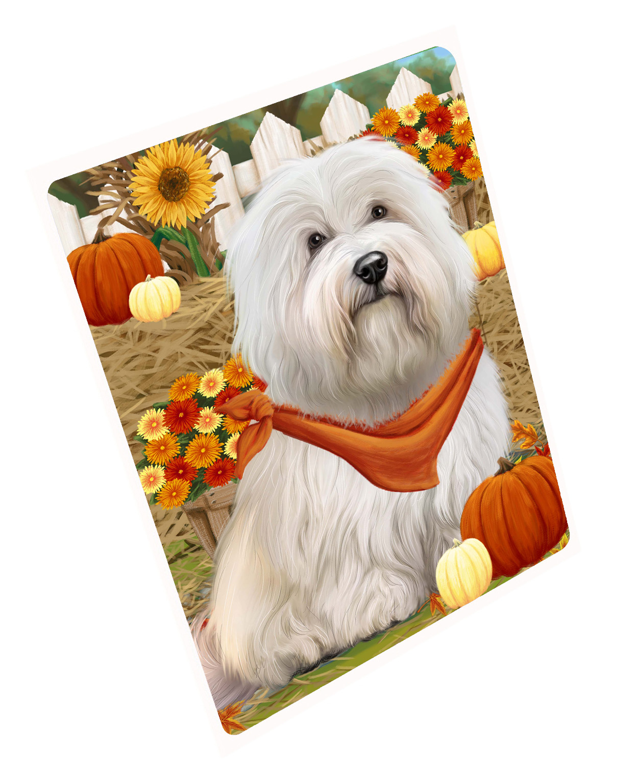 Herbst Herbst Gruß Hund Katze Haustier Foto Kühlschrank Magnet 8,7x11,5 Zoll - Bild 132 von 159
