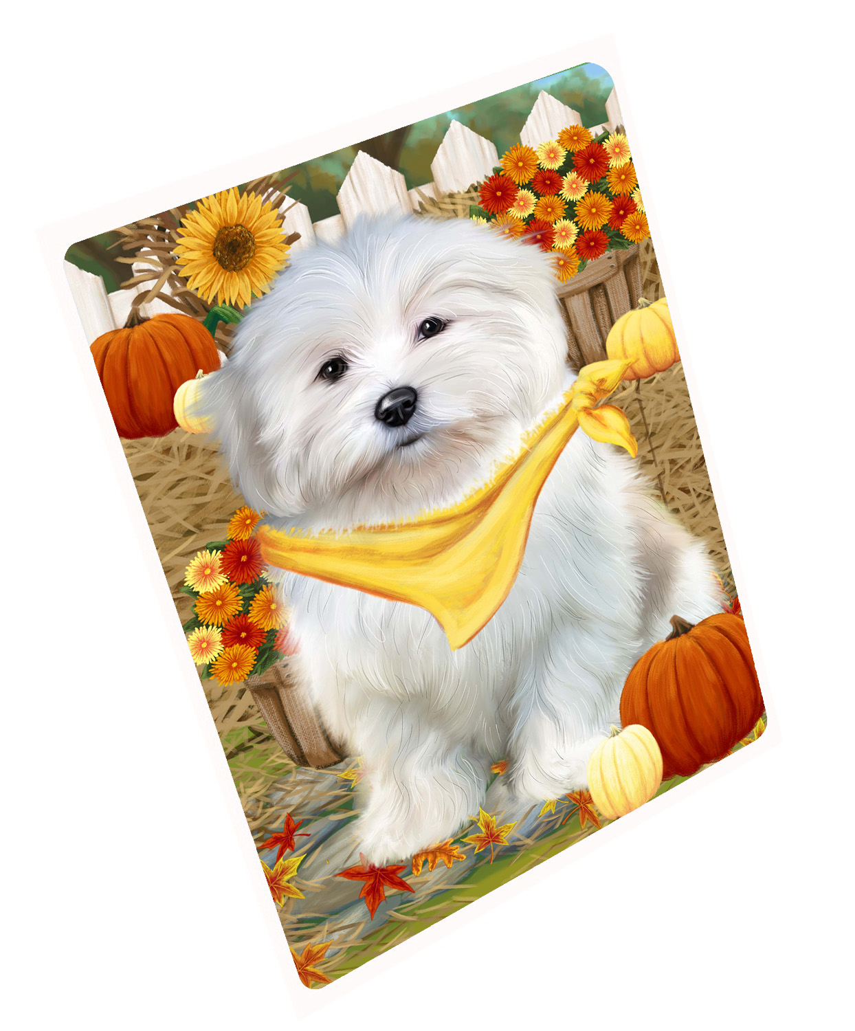Herbst Herbst Gruß Hund Katze Haustier Foto Kühlschrank Magnet 8,7x11,5 Zoll - Bild 133 von 159