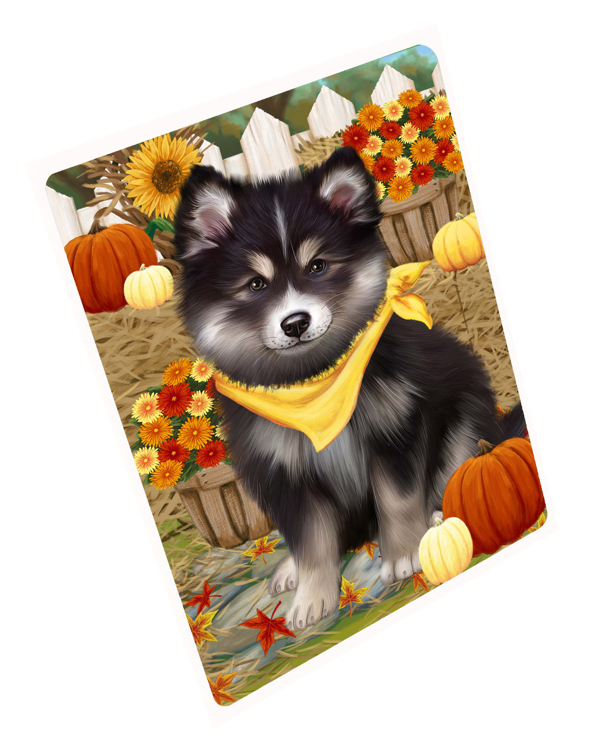 Herbst Herbst Gruß Hund Katze Haustier Foto Kühlschrank Magnet 8,7x11,5 Zoll - Bild 148 von 159