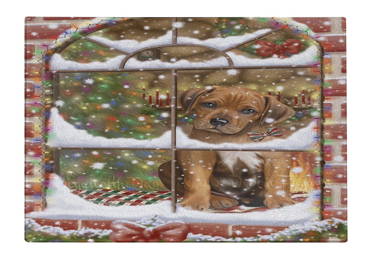 Rhodesian Ridgeback Hund Schneidebrett Hartglas personalisiert Weihnachten Neu mit Etikett - Bild 32 von 58