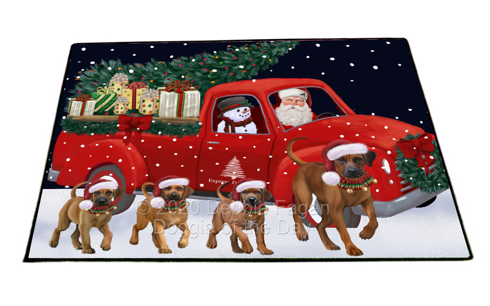 Rhodesian Ridgeback Dog Floor Mat Personalized Door Mat Valentine Day NWT - Picture 16 of 48