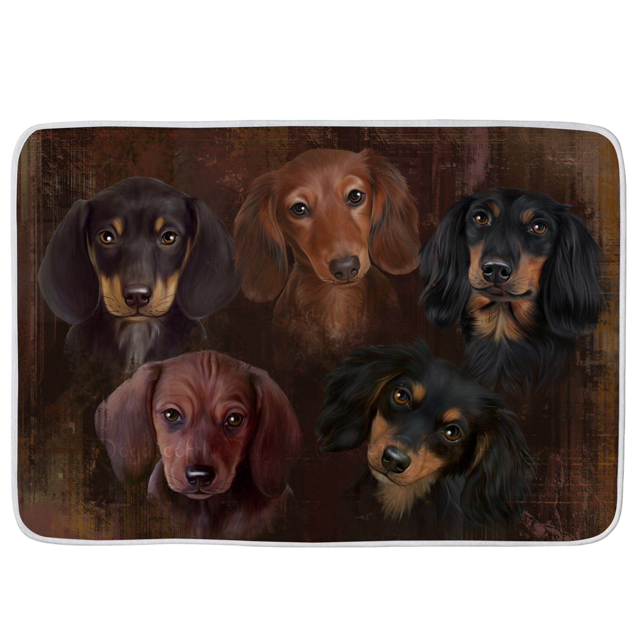 Dachshund Dog Bath Mat Anti-Slip Pet Personalized Bathroom Rug Mat