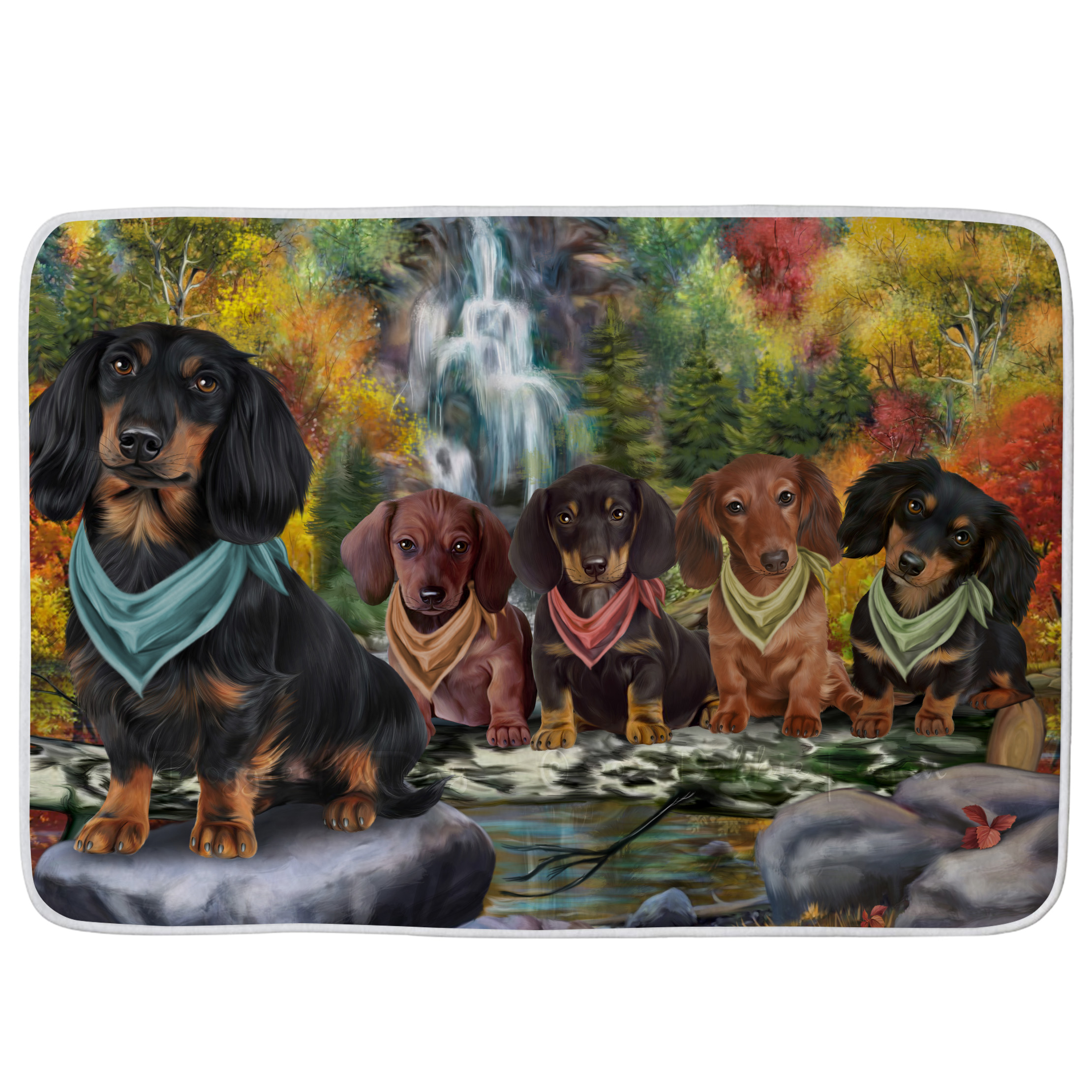 Dachshund Dog Bath Mat Anti-Slip Pet Personalized Bathroom Rug Mat Gift NWT - Picture 25 of 47