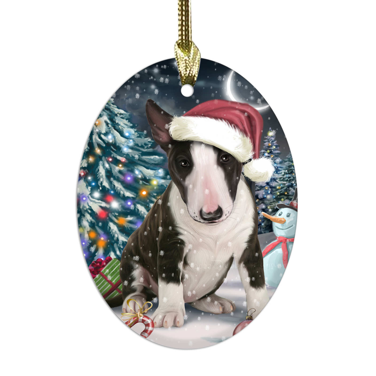 Bull Terrier cane ovale vetro decorazioni natalizie da appendere albero di natale - Foto 40 di 60